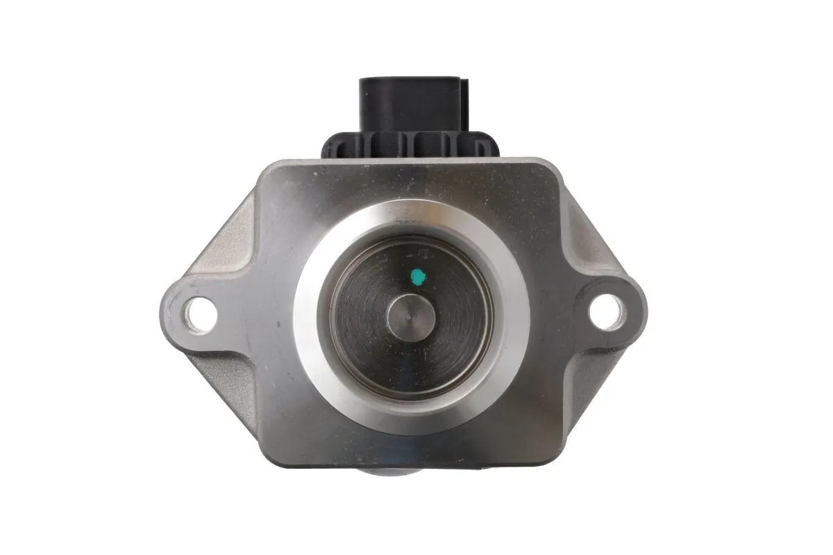 EGR Valve 703217