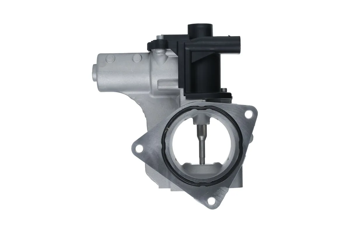 EGR Valve 703272