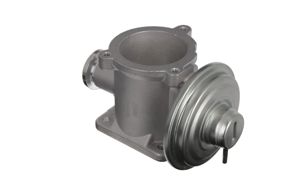 EGR Valve 703233