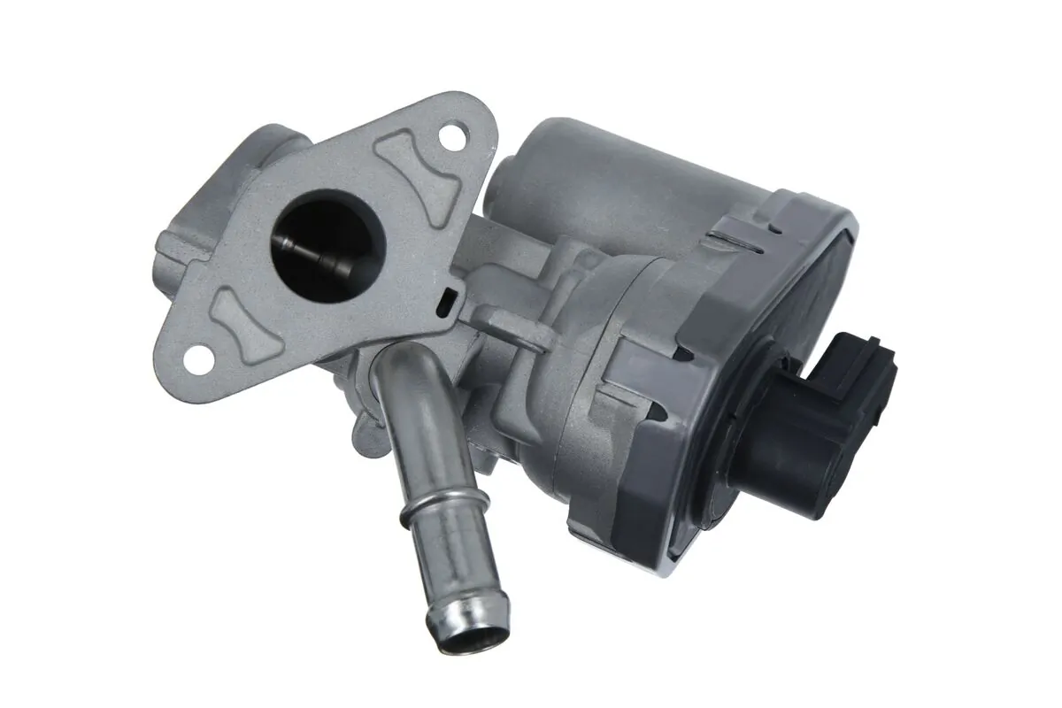 EGR Valve 703229