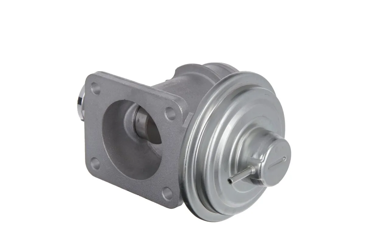 EGR Valve 703269