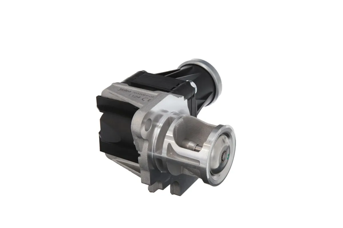 EGR Valve 703208