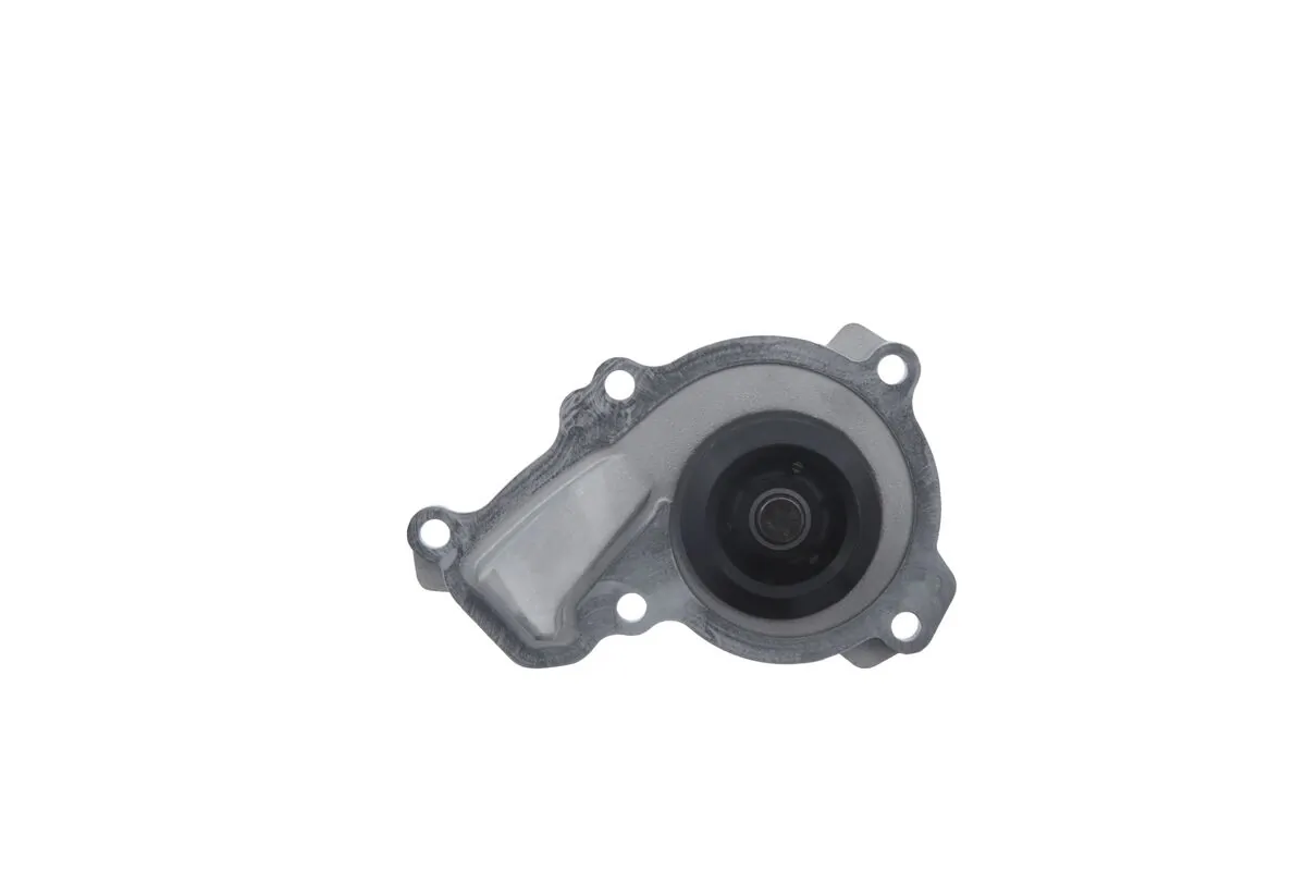 VALEO 529195 Water Pump, engine cooling