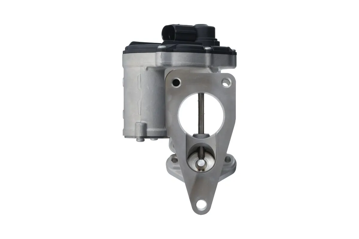 EGR Valve 703249