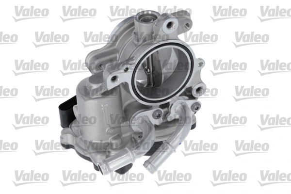 Throttle Body ORIGINAL PART 700468