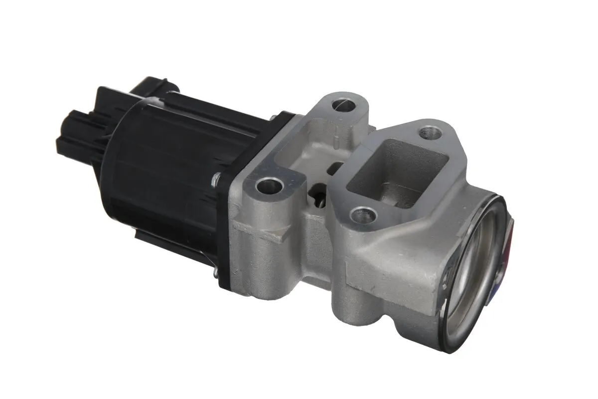 EGR Valve 703213