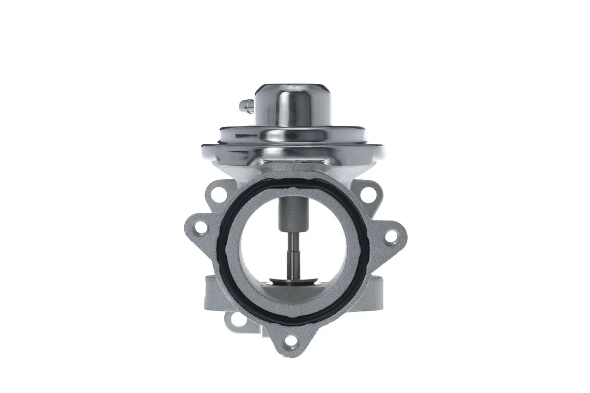 EGR Valve 703260