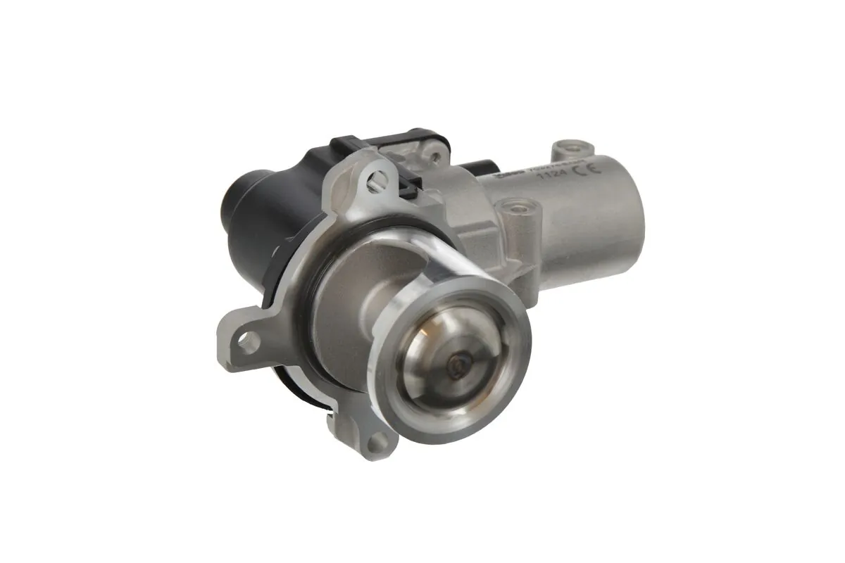 EGR Valve 703276