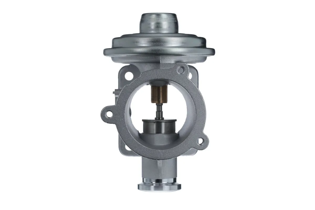 EGR Valve 703233