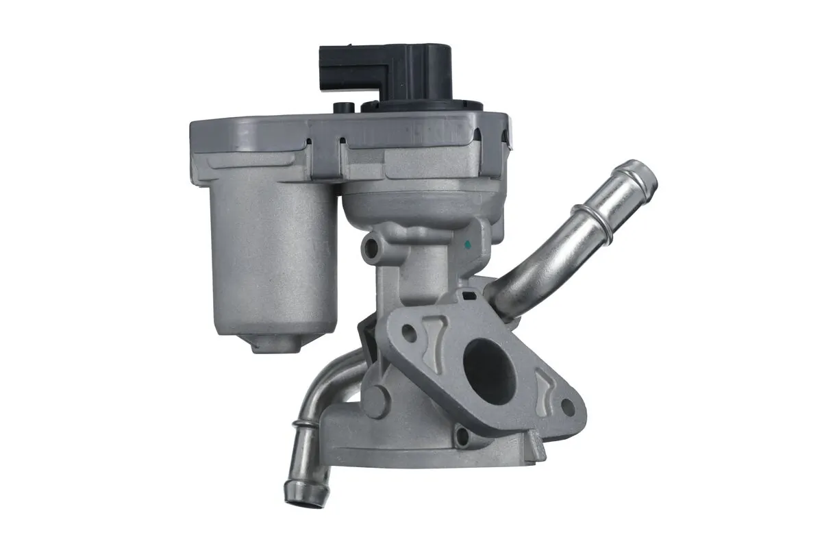 EGR Valve 703229