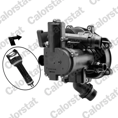 Thermostat, coolant TFS7195.113J