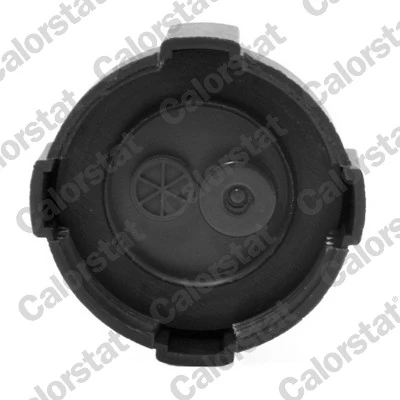 Cap, coolant tank RC0001