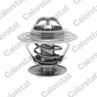 Thermostat, coolant TH4561.92J