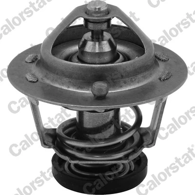 Thermostat, coolant TH6599.78J