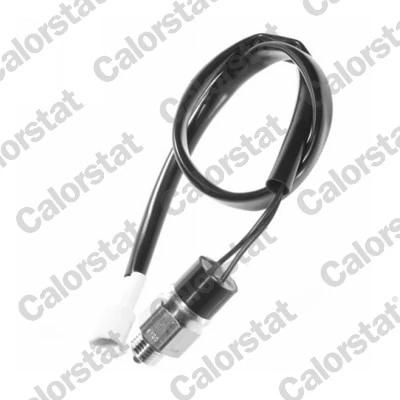 Switch, reverse light RS5556