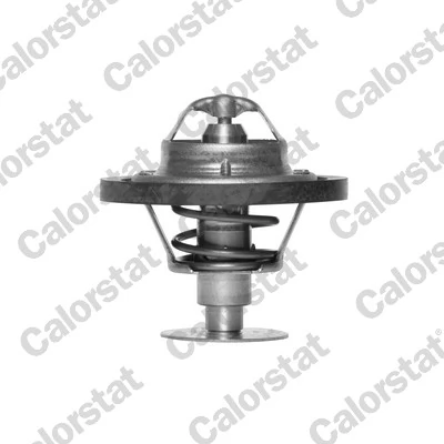 Thermostat, coolant TH1519.82J