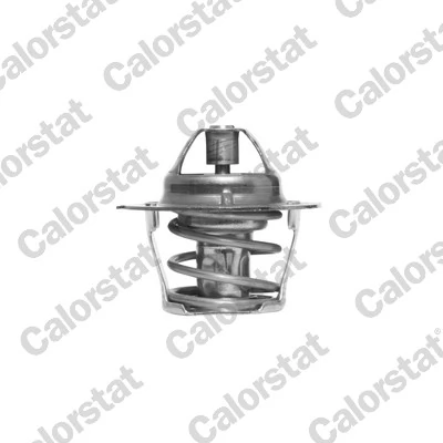 Thermostat, coolant TH1248.80J