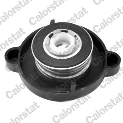 Cap, coolant tank RC0020