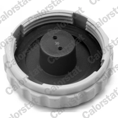 Expansion Tank, coolant ET0083C1