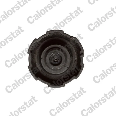 Cap, coolant tank RC0200