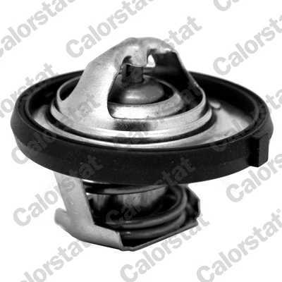 Thermostat, coolant TH7311.95J
