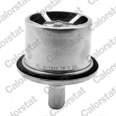 Thermostat, coolant THS19099.83