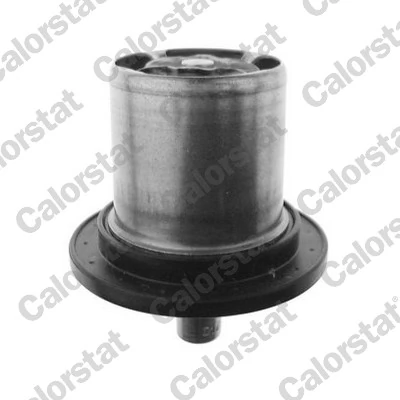 Thermostat, coolant THS1743.82