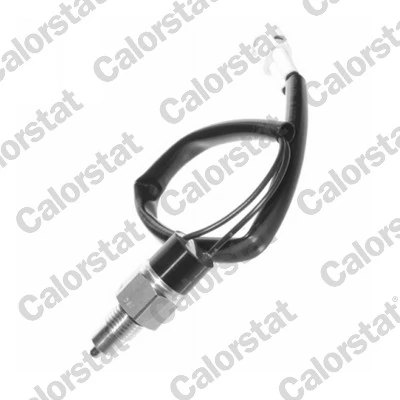 Switch, reverse light RS5555