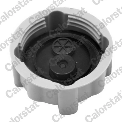 Cap, coolant tank RC0038