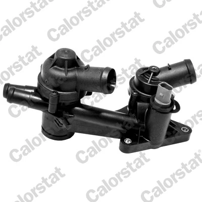 Thermostat, coolant TH7171.87J