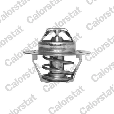 Thermostat, coolant TH4168.89J