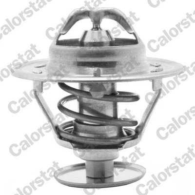 Thermostat, coolant TH1419.75J