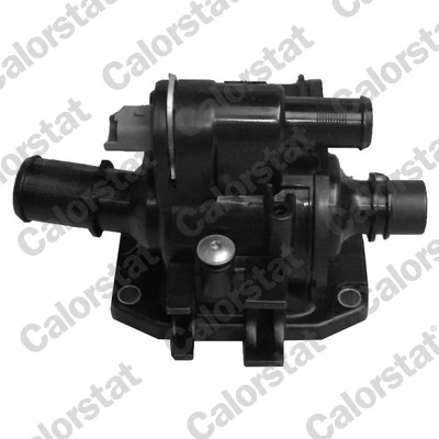 Thermostat, coolant TH6874.83J