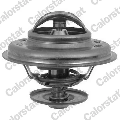 Thermostat, coolant TH6246.88J