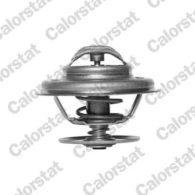 Thermostat, coolant TH5963.80J