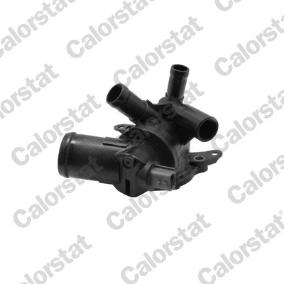 Thermostat, coolant TE7366.95J