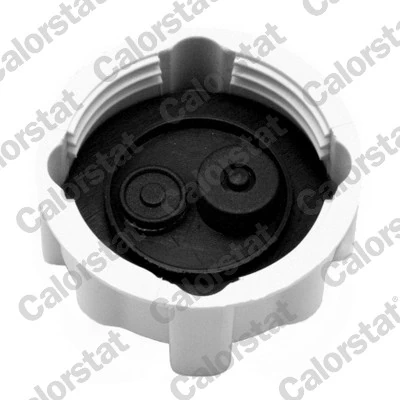 Cap, coolant tank RC0031
