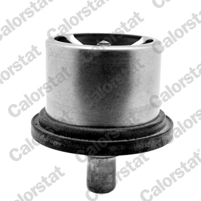 Thermostat, coolant THS19094.80