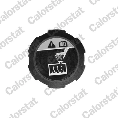 Cap, coolant tank RC0200