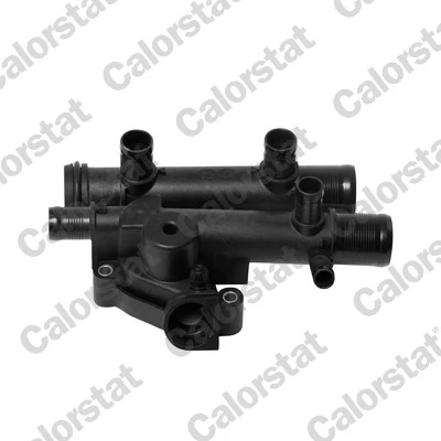 Thermostat, coolant TH6970.83J