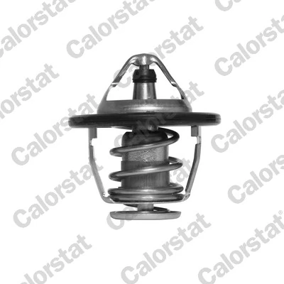 Thermostat, coolant TH6520.82J