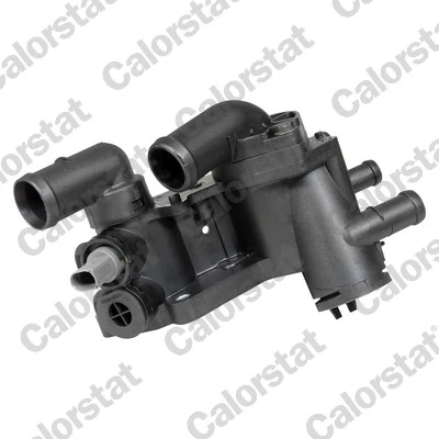 Thermostat, coolant THK596202.83J