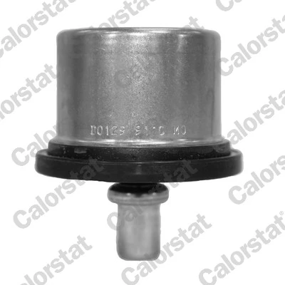 Thermostat, coolant THS19125.91