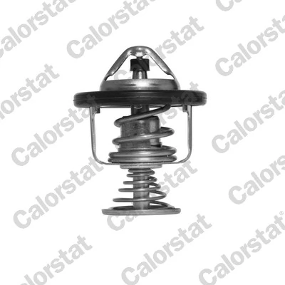 Thermostat, coolant TH6876.80J