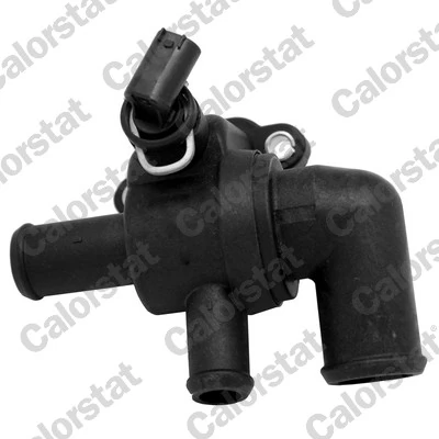 Thermostat, coolant TH6969.90J