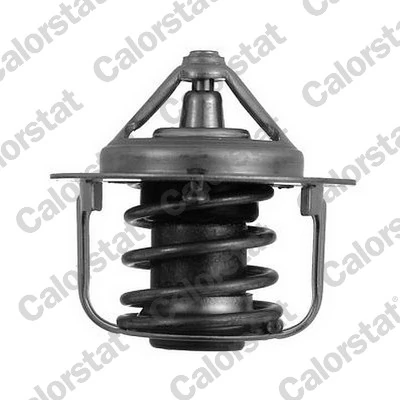 Thermostat, coolant TH5076.82J