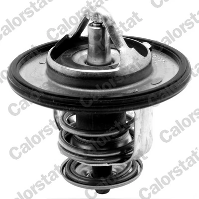 Thermostat, coolant TH6587.82J