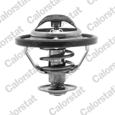 Thermostat, coolant TH6311.82J