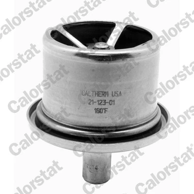 Thermostat, coolant THS19106.82