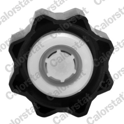 Cap, coolant tank RC0029